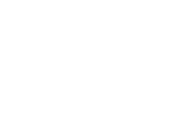 O Sentinela do Sul